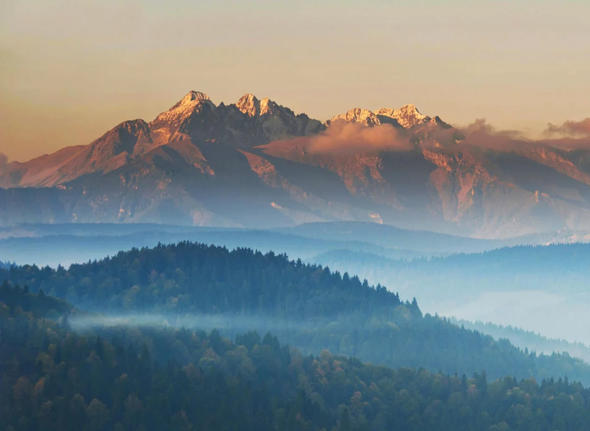 kupić programy? Czy warto?