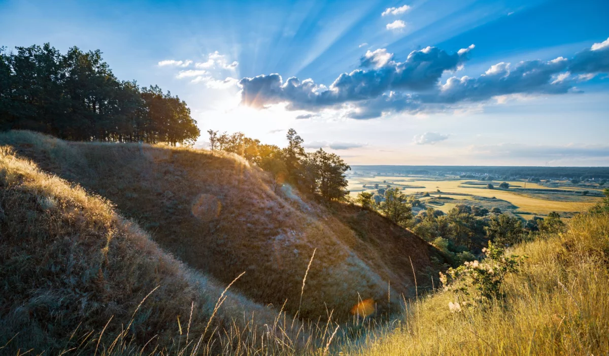 Zobacz czy potrzebujesz Oddać elektrośmiecie w Gdańsku?