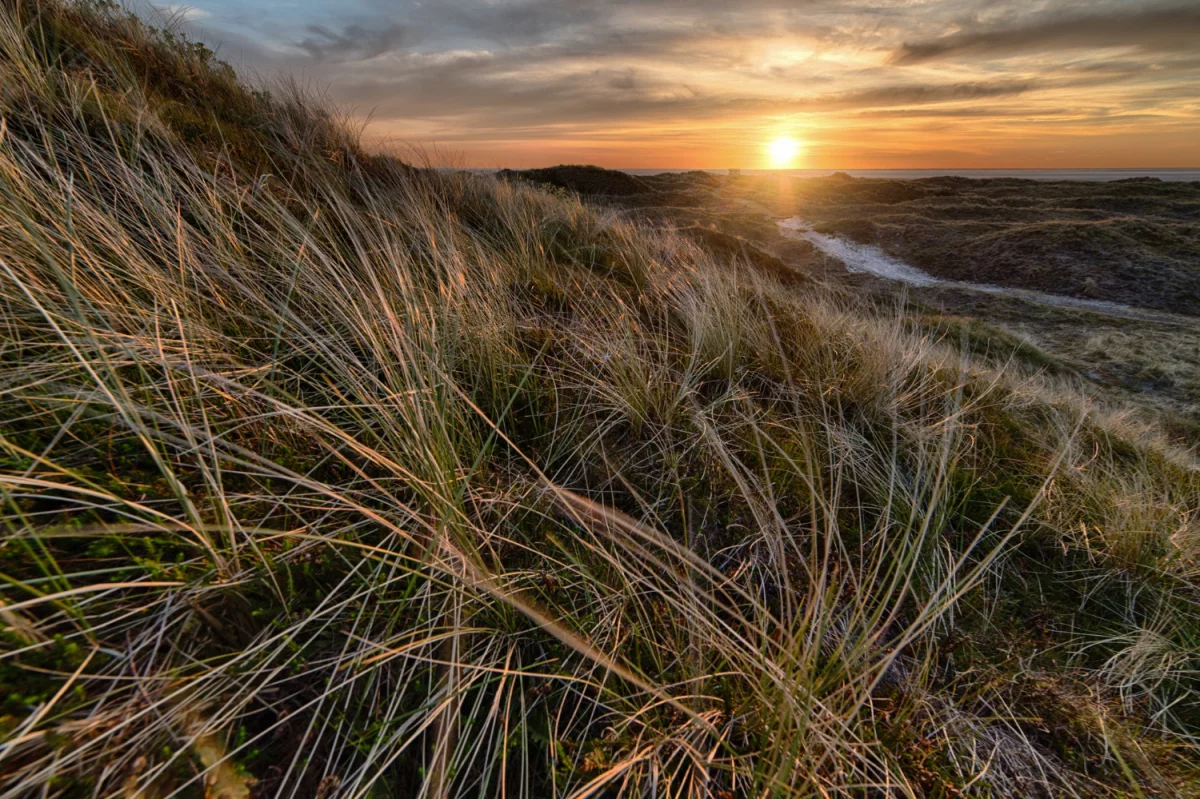 Jak Oddać elektrośmiecie w Krakowie - stawka godzinowa