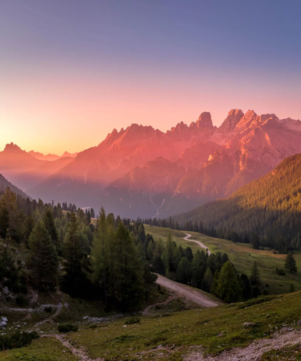 Na pewno nie wiesz jak podlewać. Wystarczy, że przeczytasz ten wpis